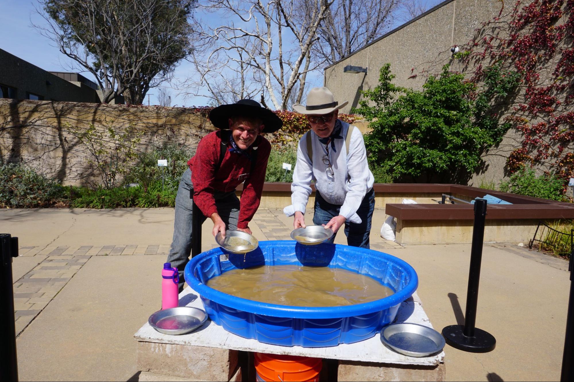 AR2425 RAA Carousel Gold